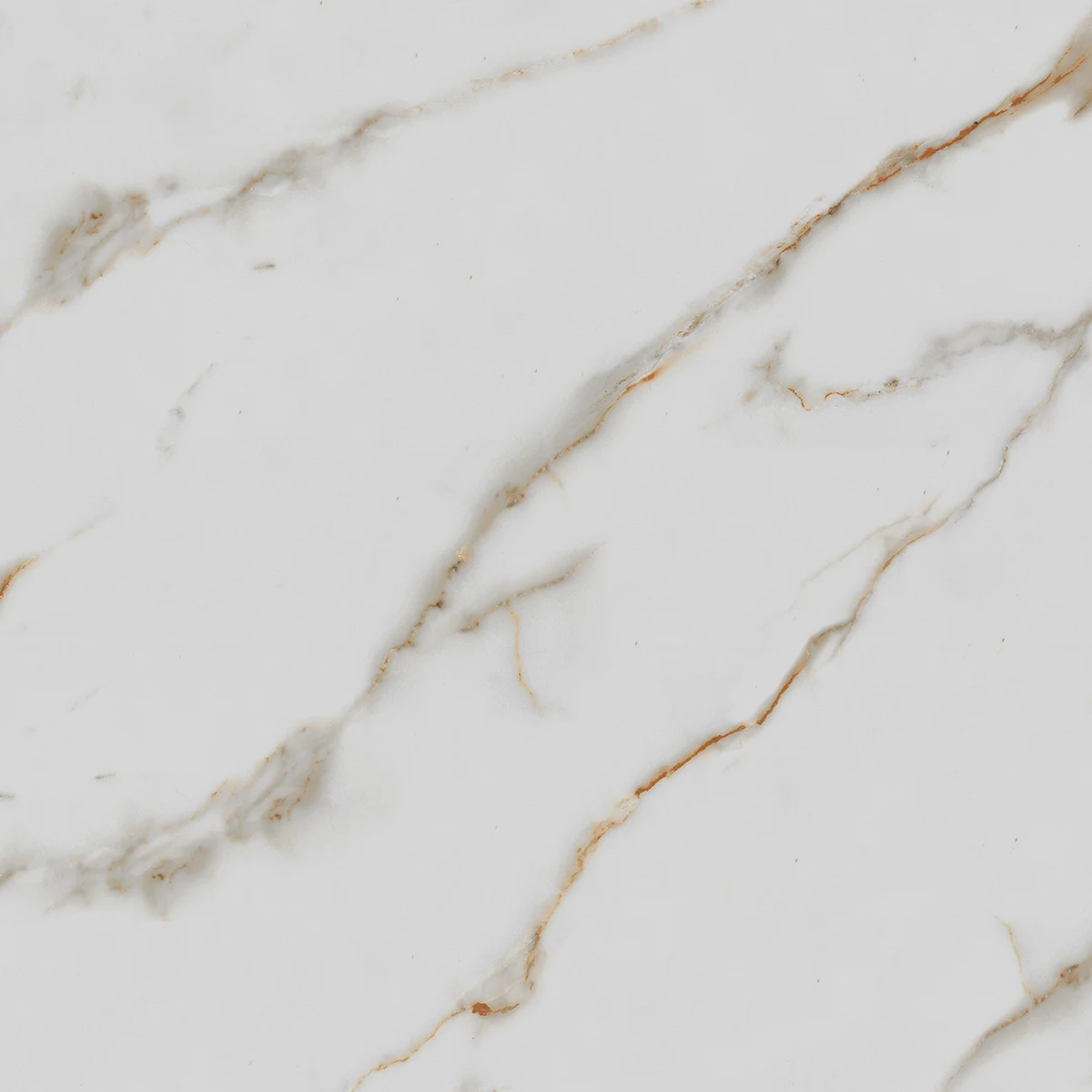 Керамогранит Royce Calacatta Gold Polished 60x60 см (R_PR1003)