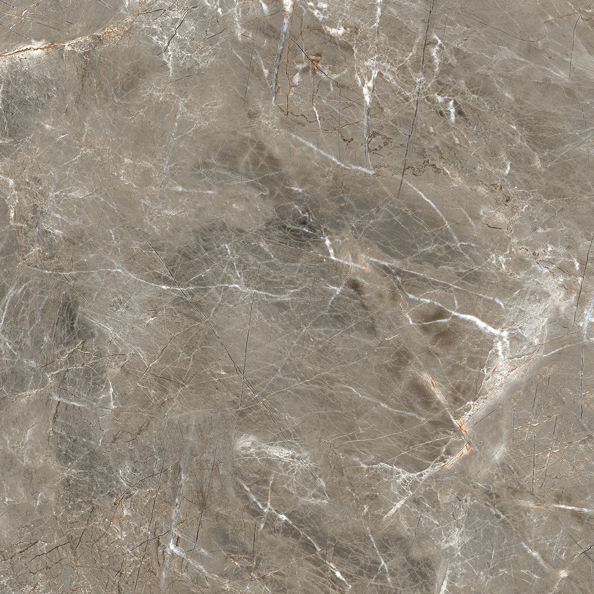 Керамогранит Royce Olympia Grey Polished 60x60 см (R_PR1023)